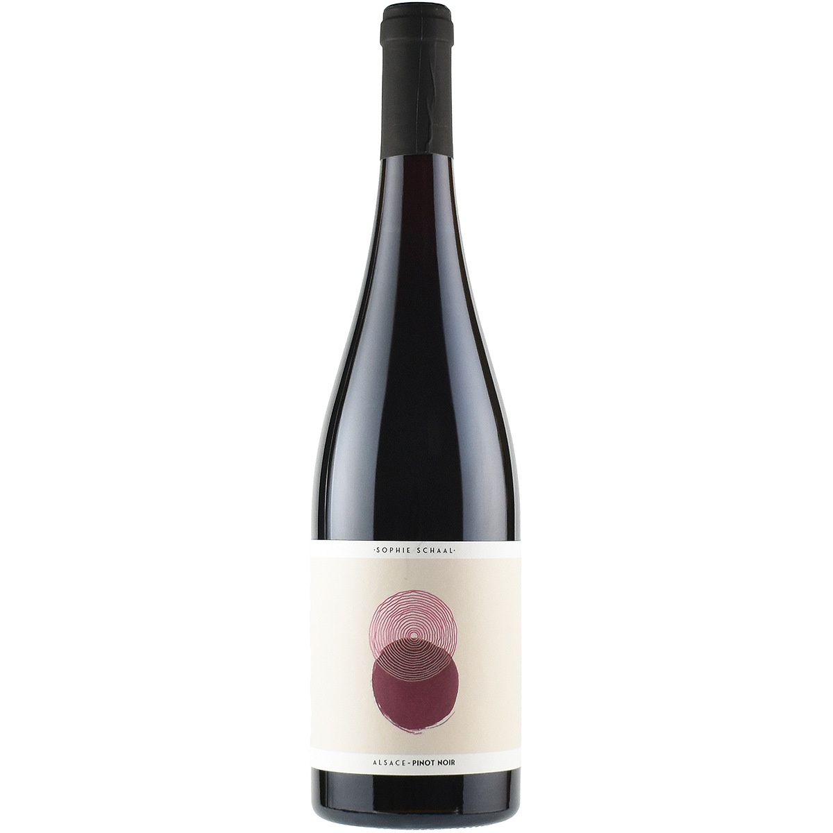 ピノ・ノワール・ソフィー・シャール 2024 / ジュリアン・シャール