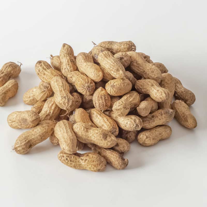 生落花生・おおまさり