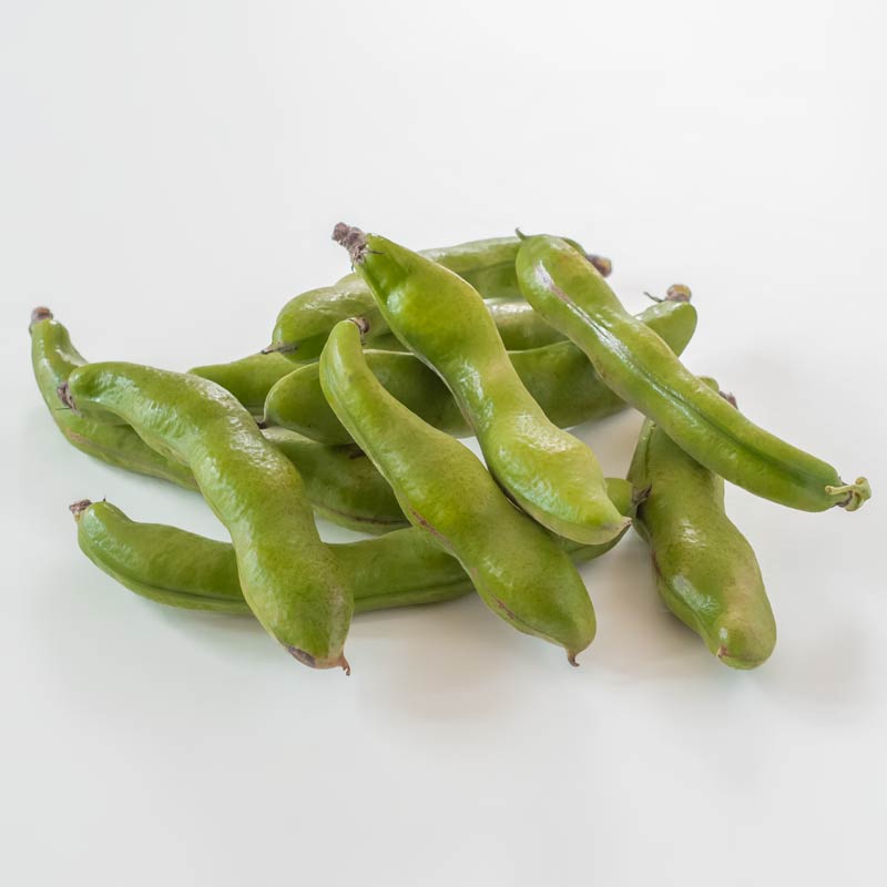 【送料込み】そらまめ