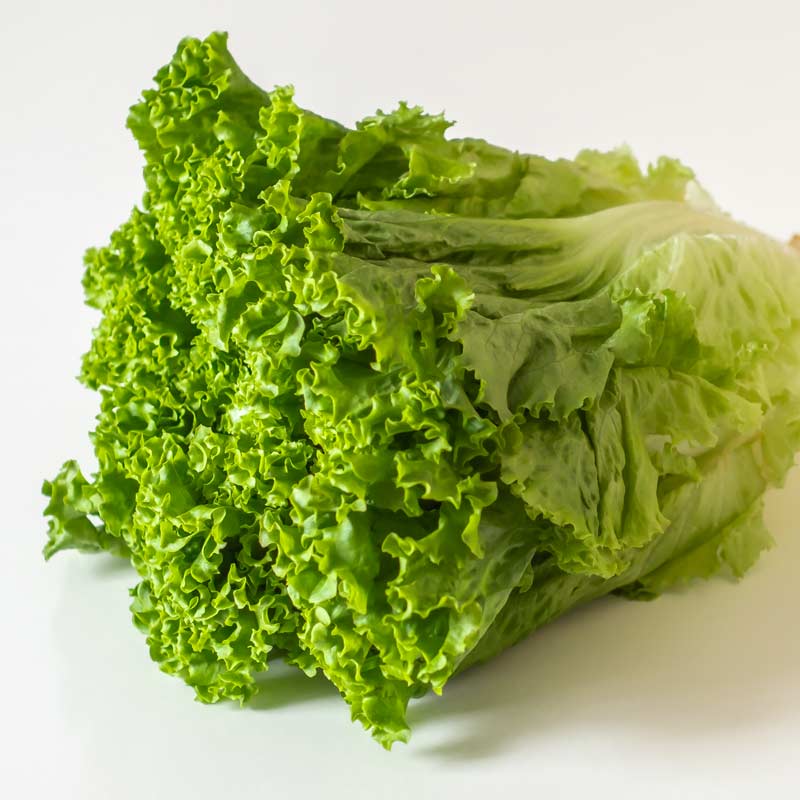 グリーンリーフ