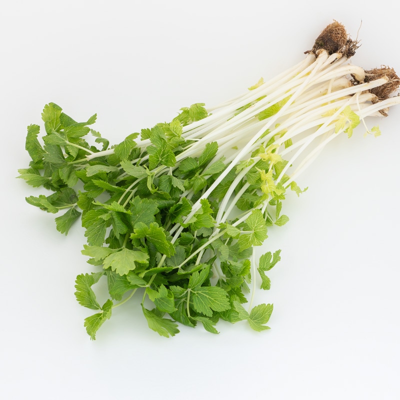 ホワイトセルリ