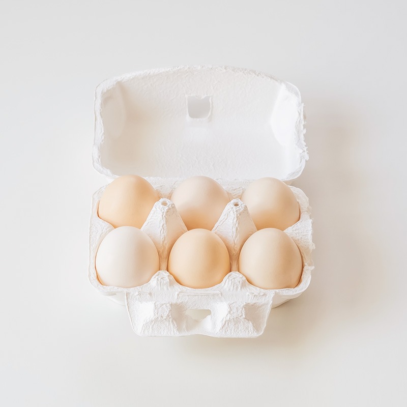 Field Marketベストセレクション