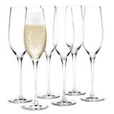 CABERNET(���٥�͡�Champagne Glass(�����ѥ󥰥饹��290ml 6�ĥ��å� HOLMEGAARD(�ۥ�६���ɡ��̲����饹