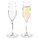 CABERNET LINES(٥ͥ饤Champagne Glass(ѥ󥰥饹2ĥå 290ml HOLMEGAARD(ۥ६ɡ̲饹