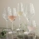 CABERNET LINES(٥ͥ饤Champagne Glass(ѥ󥰥饹2ĥå 290ml HOLMEGAARD(ۥ६ɡ̲饹