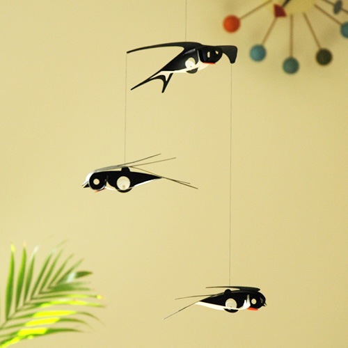 Swallow(˥ĥХᡦӡ/Livingly(ӥ󥰥꡼/̲ƥꥢ