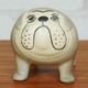 Bulldog(�֥�ɥå��˥ߥǥ����ॵ���� ���졼 ���֥��� Lisa Larson(�ꥵ �顼����) �̲����֥�������ʪ