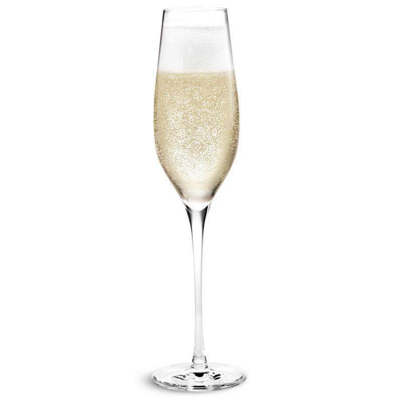 CABERNET(٥͡Champagne Glass(ѥ󥰥饹290ml HOLMEGAARD(ۥ६ɡ̲饹