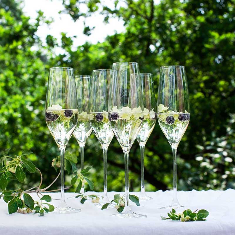 CABERNET(���٥�͡�Champagne Glass(�����ѥ󥰥饹��290ml 6�ĥ��å� HOLMEGAARD(�ۥ�६���ɡ��̲����饹