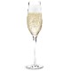 CABERNET(٥͡Champagne Glass(ѥ󥰥饹290ml HOLMEGAARD(ۥ६ɡ̲饹
