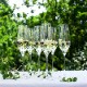 CABERNET(���٥�͡�Champagne Glass(�����ѥ󥰥饹��290ml 6�ĥ��å� HOLMEGAARD(�ۥ�६���ɡ��̲����饹