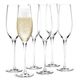 CABERNET(���٥�͡�Champagne Glass(�����ѥ󥰥饹��290ml 6�ĥ��å� HOLMEGAARD(�ۥ�६���ɡ��̲����饹