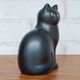 CAT MANS(����åȥޥ󥹡˥ߥǥ����ॵ���� �֥�å� Lisa Larson(�ꥵ �顼����) ���������ǥ��̲����֥�������ʪ