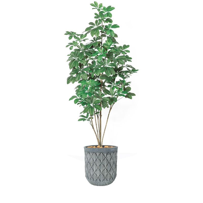 フェイクグリーンポット　シェフレラ　（配送地域：大阪市内限定）　最短5営業日納品可