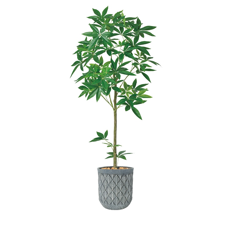 フェイクグリーンポット　パキラ　（配送地域：大阪市内限定）　最短5営業日納品可