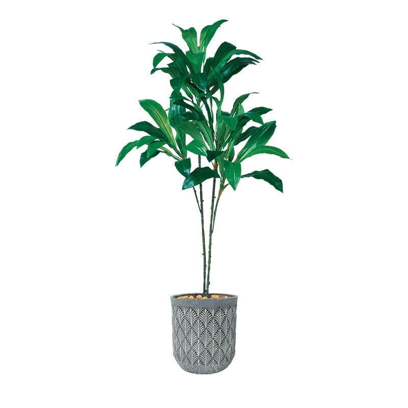 フェイクグリーンポット　ドラセナ　（配送地域：大阪市内限定）　最短5営業日納品可