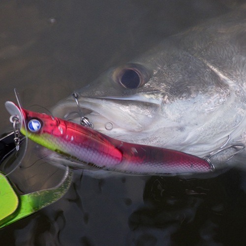 ネコポス対応】スカーナッシュ120F | fimo,オリカラルアー