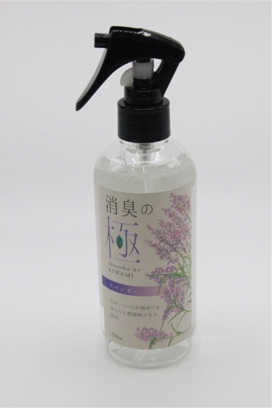 �ý��ζ� ��٥����