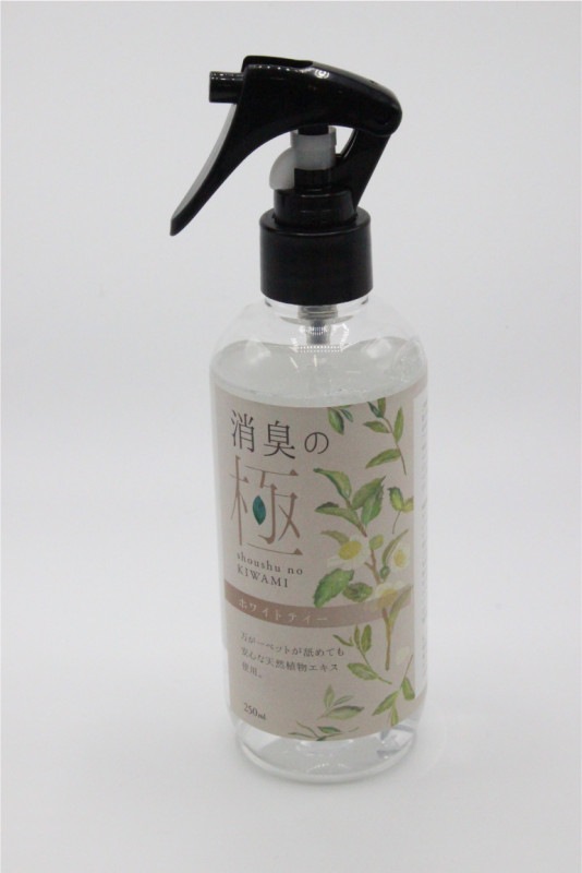 �ý��ζ� �ۥ磻�ȥƥ���