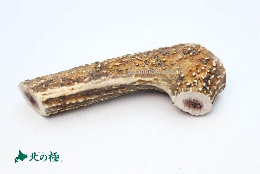 北の極　エゾシカ角（髄・半割）Mサイズ