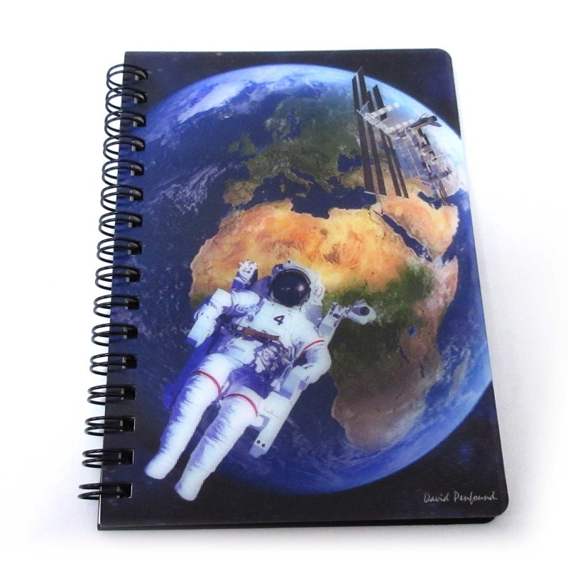 3D��󥰥Ρ��ȡ�Earth from space��No.301-938