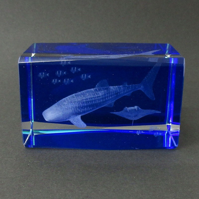 3Dクリスタル ジンベエザメ XLサイズ No.120-653 | 世界の価値ある