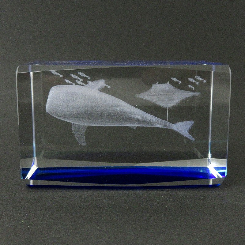 3Dクリスタル ジンベエザメ XLサイズ No.120-653 | 世界の価値ある