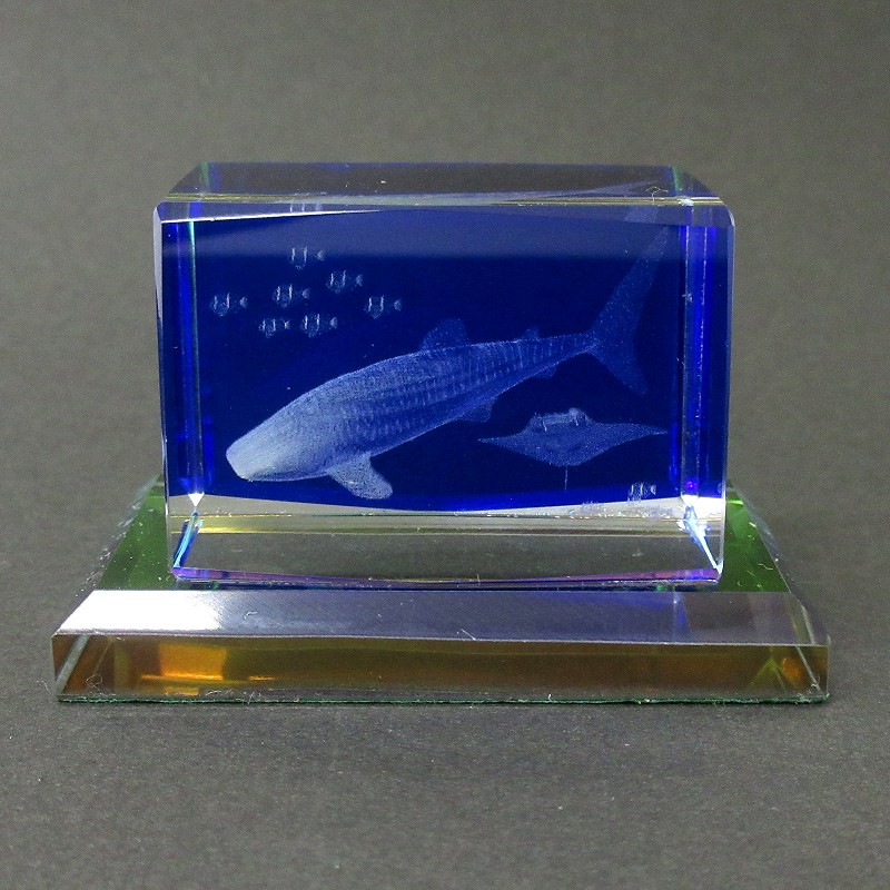 3Dクリスタル ジンベエザメ Mサイズ No.120-654 | 世界の価値ある商品