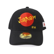 ǥ󥭥å JAPAN ֥åNo.303-952