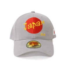 ǥ󥭥å JAPAN 졼No.303-953