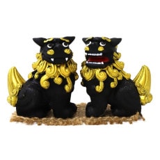 55mmʡ쥮顼() ֥å/⡡No.208-822