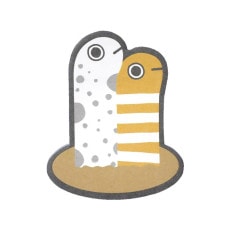 �������å���� ���Τʤ��� ���󥢥ʥ�/�˥������ʥ���No.301-048