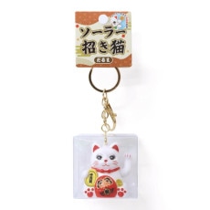�����顼����ǭ�����ۥ���� ����� �ۥ磻�ȡ�No.208-316