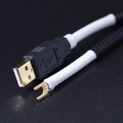 Clone1UA�ʥ�������1UA�ˢ�Clone1UA��