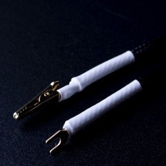 Clone1C�ʥ�������1C�ˢ�Clone1C��