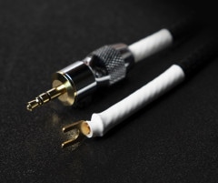 Clone1T3/02ʥ1T3/02ˢClone1T3/02