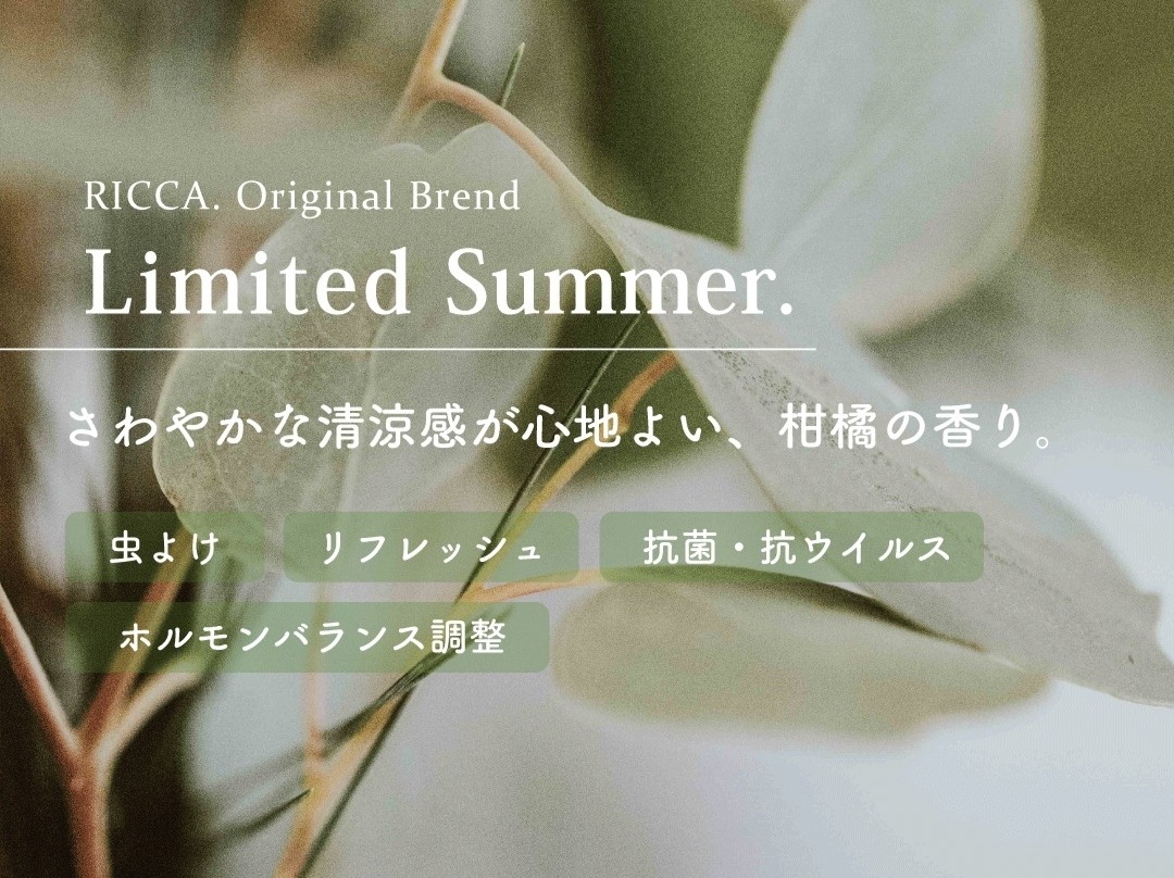 夏限定キャンドル / シトラスフレッシュ　- Limited Summer -