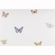 �ԥ��������� BUTTERFLY 700