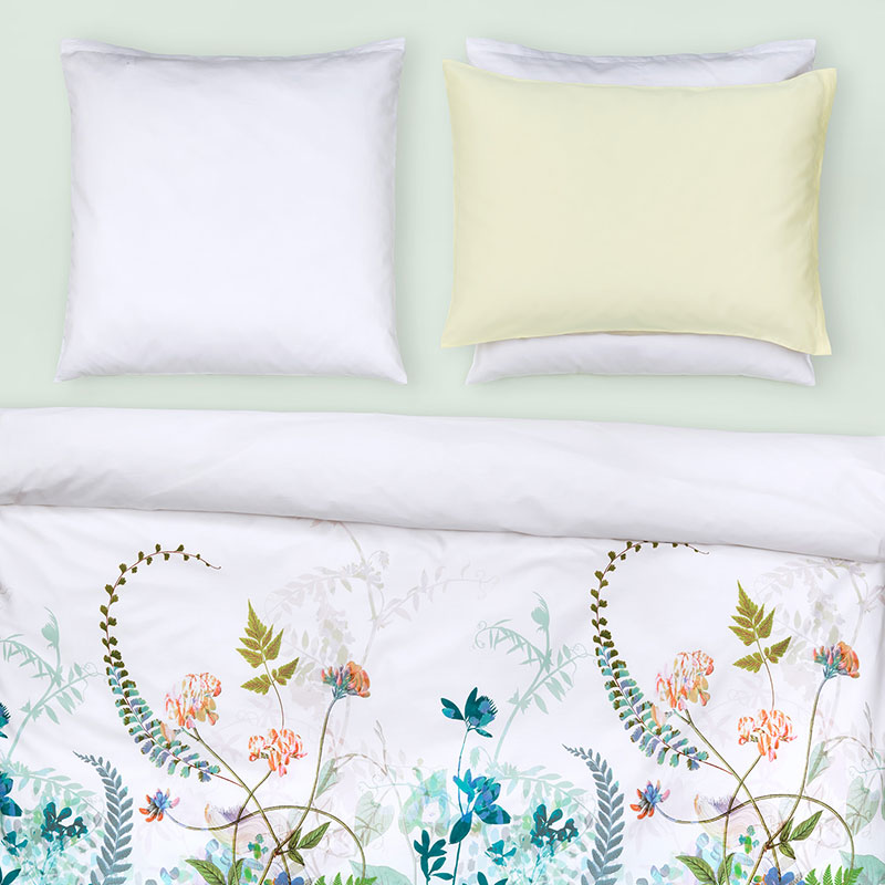 �ǥ�٥��С� SPRING BREEZE E41