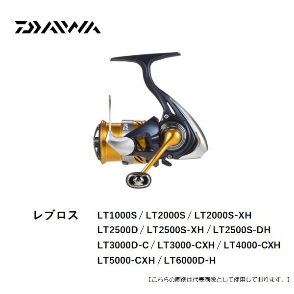 ダイワ 20レブロス LT4000CXH 【公式通販】