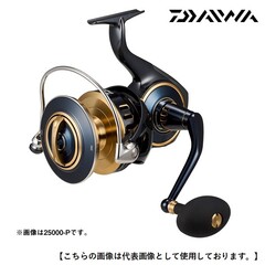 明日までの販売❣️FALCHION 磯竿 15-50 Daiwaリール付き 明日までの販売❣️FALCHION 磯竿 15-50 Daiwaリール付き