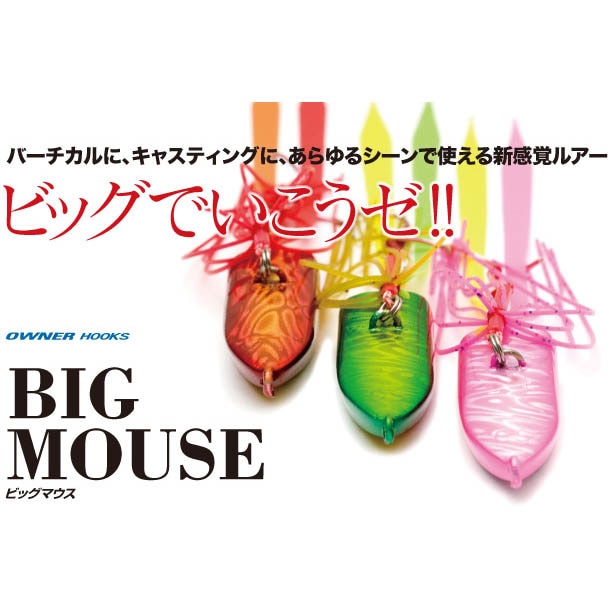 ダミキジャパン　BIG MOUSE　（ビッグマウス）　80ｇ【メール便可】