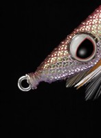 エバーグリーン　エギ番長　3.0号　2016カラー【メール便可】|エバーグリーン　エギ番長|エギ