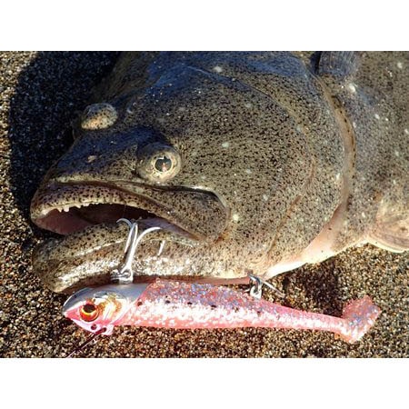 ダイワ　鮃狂（フラットジャンキー） ロデム4　28ｇ【メール便可】