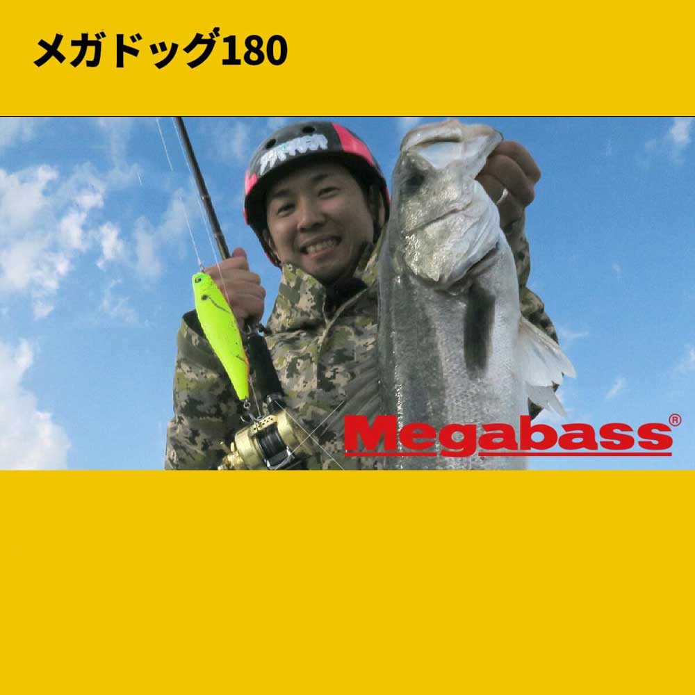 メガバス　メガドッグ180