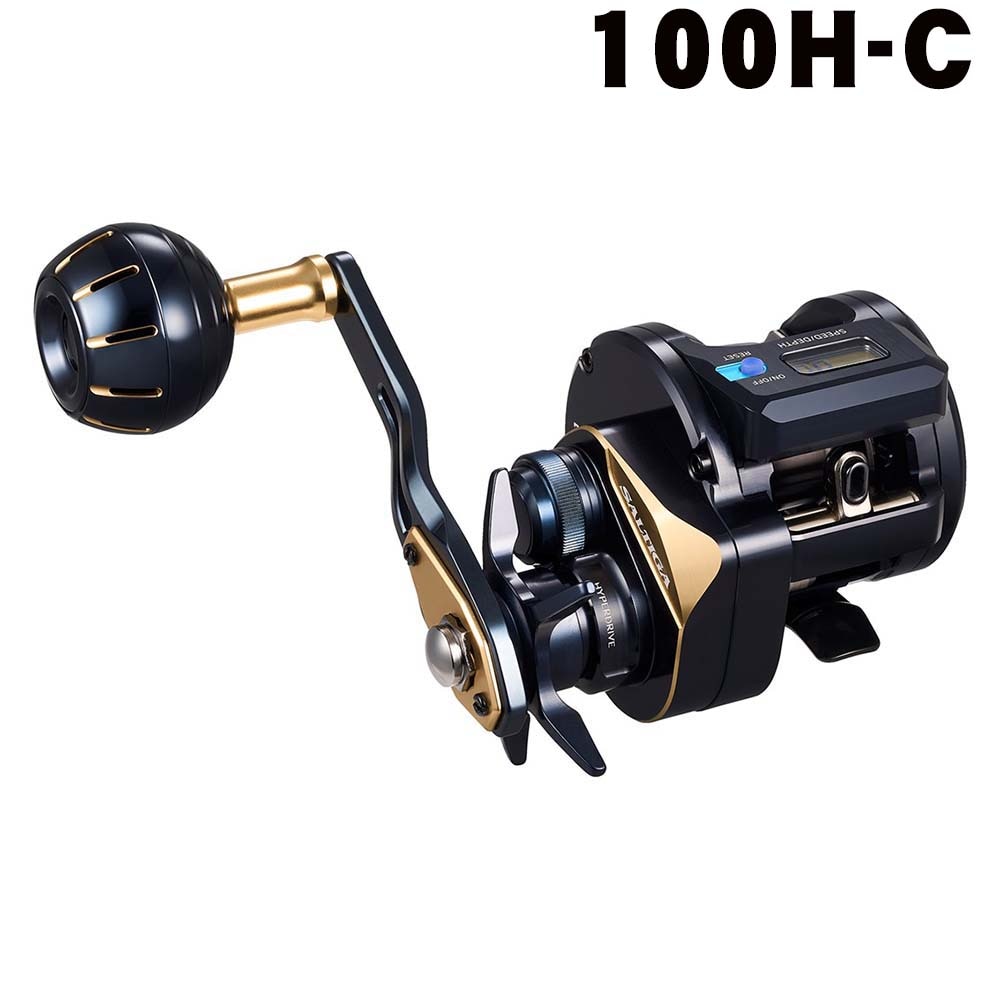 【2月入荷予定】ダイワ　25ソルティガ　IC　100H-C