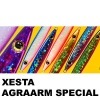 ゼスタ（XESTA）　アグラームスペシャル　60g|ゼスタ（XESTA）|メタルジグ
