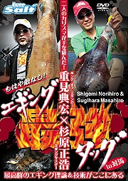 DVD　内外出版　重見典宏×杉原正浩　エギング最強タッグ　in対馬