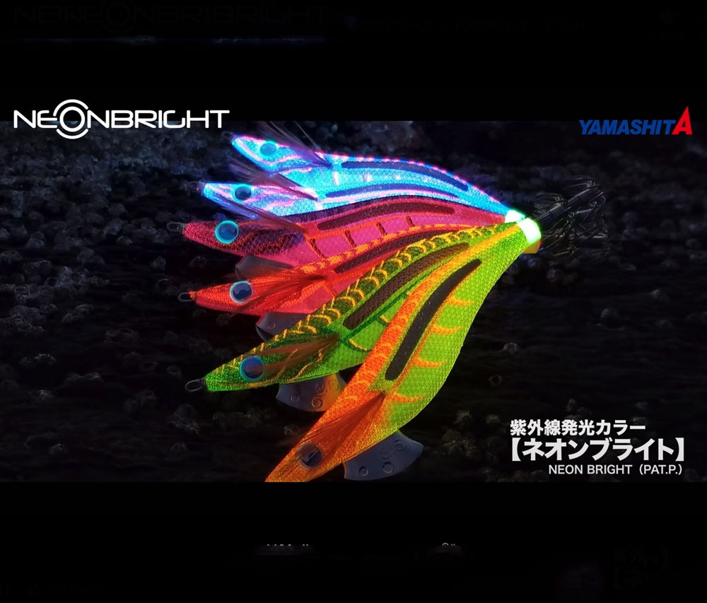 ヤマシタ エギ王 ライブ(LIVE) 3.5号 ネオンブライト【メール便可