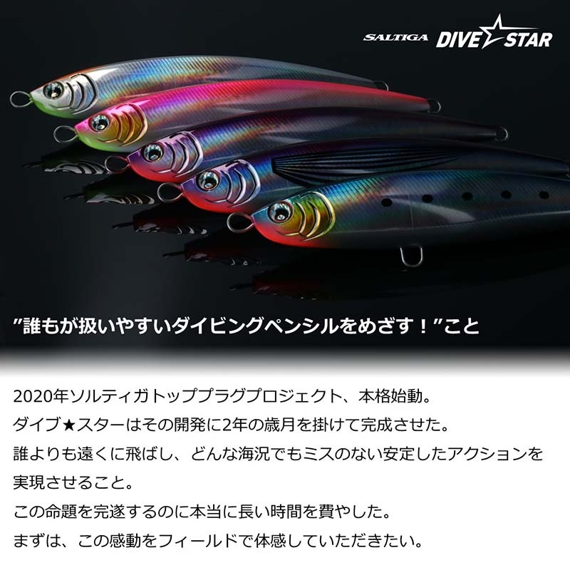 ダイワ ソルティガ ダイブ☆スター165F通販｜釣具通販 いのまた釣具店